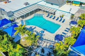 Image result for Harbour Lights Snorkelling Club (HLSC)