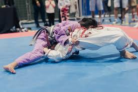 Image result for Farnham Kung Fu Club