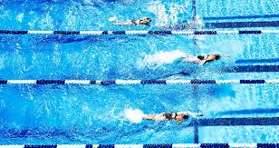Image result for Maidenhead Marlins Swimming Club