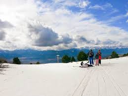 Image result for Liverpool University Ski and Snowboard Club