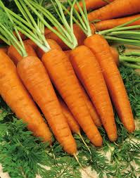 Image result for Möhren