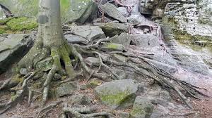 Image result for intemperismo