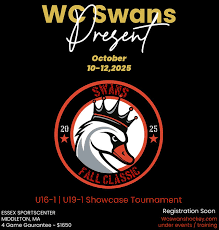 Image result for Swan`s Hockey Club