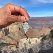 Image result for Dolphina Gc