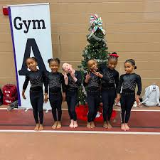 Image result for Jayenell Gymnastics Club