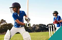 Image result for Elham Valley Cricket Club