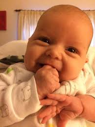 Image result for Warwick Bears Badminton Club