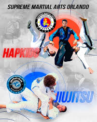 Image result for Moo Sool Academy