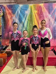 Image result for Canterbury Gymnastics Club