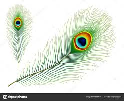 「綠羽毛」的圖片搜尋結果