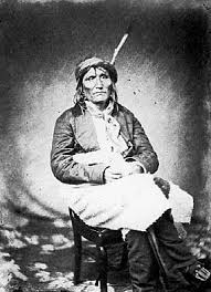 Image result for seotonie