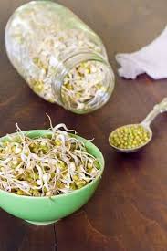 Image result for bean sprout