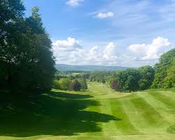Image result for Carlow Golf Club