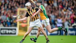 Image result for hurling