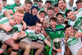 Image result for Shamrocks Hurling & Football Club
