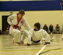 Image result for Norfolk Karate