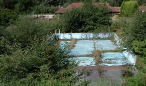 Image result for Calverton Swimming Club