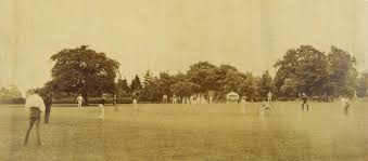 Image result for Fenton Cricket Club