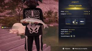 Image result for Chelon ramada