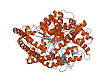 Angiotensin-converting enzyme - Wikipedia, the free encyclopedia