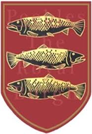 Image result for Peebles & District Riding Club