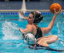 Image result for Basingstoke Bluefins Water Polo Club
