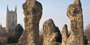 Image result for Bury St Edmund Shuttlers