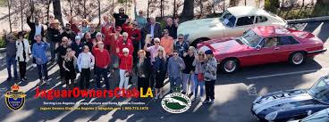 Image result for Jaguar Sports & Social Bowls Club