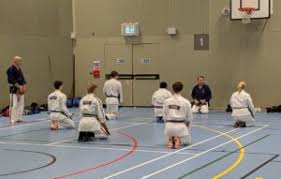 Image result for Harold Hill Aikido Club