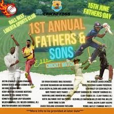 Image result for Wilden Village Cricket Club