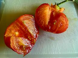 Afbeeldingsresultaat voor erdie family oxheart tomato