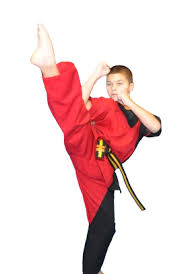 Image result for Action Karate