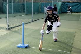 Image result for Stourbridge Cricket Club