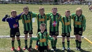 Image result for Bromyard Town Football Club Limited