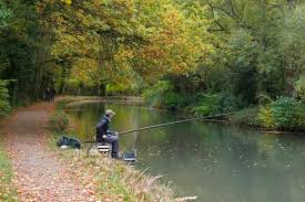 Image result for Byfleet Angling Association