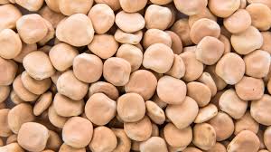 Image result for Lupinen