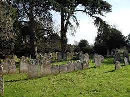 Image result for Aldingbourne Tennis Club