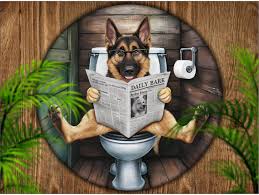Image result for german toilet