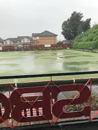Image result for Clydebank-Radnor Bowling Club