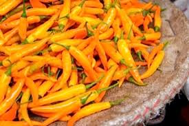 Afbeeldingsresultaat voor thai yellow hot pepper