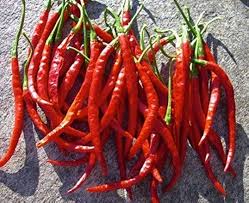 Afbeeldingsresultaat voor chile de arbol hot pepper
