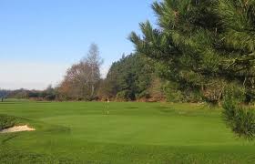 Image result for Swaffham Cricket Club