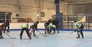 Image result for Norton Cyclones Skater Hockey Club