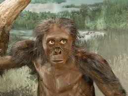 Image result for lucy