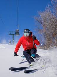 Image result for skiptondivers