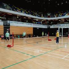 Image result for Meadway Badminton Club