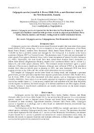 Attēlu rezultāti vaicājumam “Calypogeia suecica”