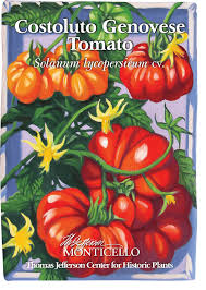 Afbeeldingsresultaat voor costoluto genovese tomato