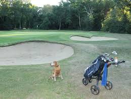 Image result for Banstead Downs Golf Club