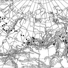 Attēlu rezultāti vaicājumam “Eilema griseola larva”